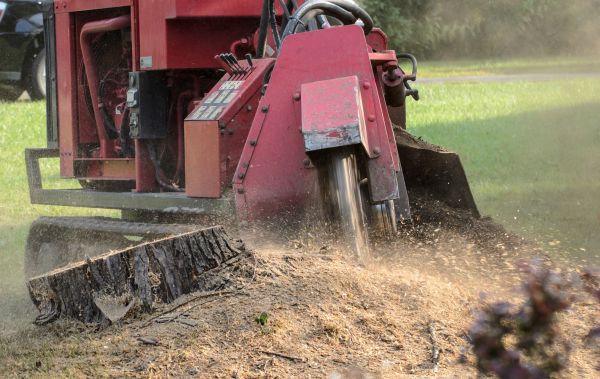 Sioux Falls Tree Removal