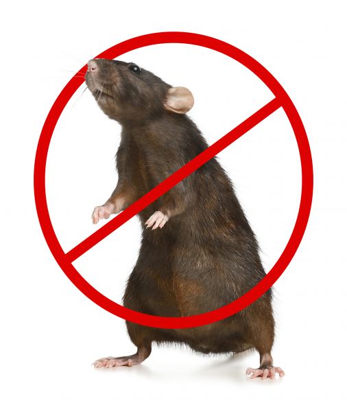 Sioux Falls Pest Control Service