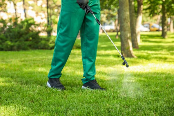 Sioux Falls Lawn Treatment