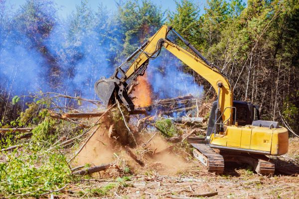 Sioux Falls Land Clearing